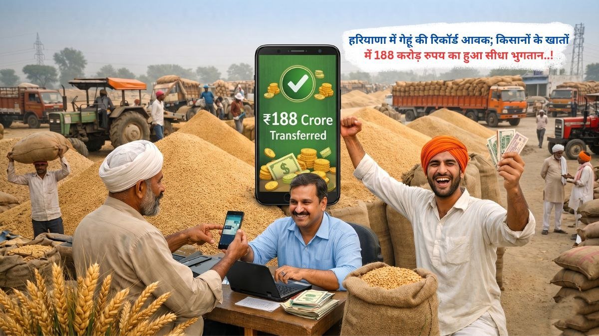 हरियाणा में गेहूं की रिकॉर्ड आवक; किसानों के खातों में 188 करोड़ रुपय का हुआ सीधा भुगतान