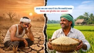 2035 तक उत्तर भारत में 75% गिर सकती है चावल पैदावार, क्या पूर्व बनेगा नया 'अन्नदाता'?