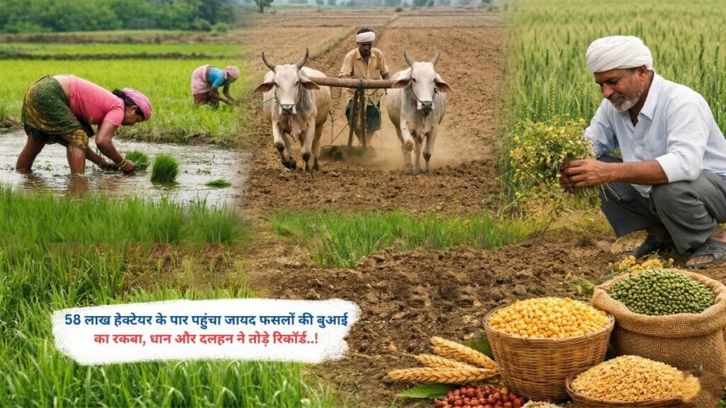 58 लाख हेक्टेयर के पार पहुंचा जायद फसलों की बुआई का रकबा, धान और दलहन ने तोड़े रिकॉर्ड