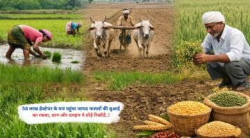 58 लाख हेक्टेयर के पार पहुंचा जायद फसलों की बुआई का रकबा, धान और दलहन ने तोड़े रिकॉर्ड