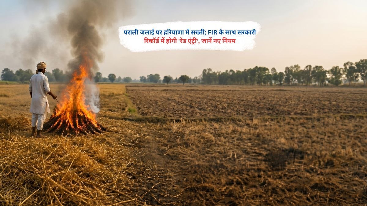 पराली जलाई पर हरियाणा में सख्ती; FIR के साथ सरकारी रिकॉर्ड में होगी 'रेड एंट्री', जानें नए नियम