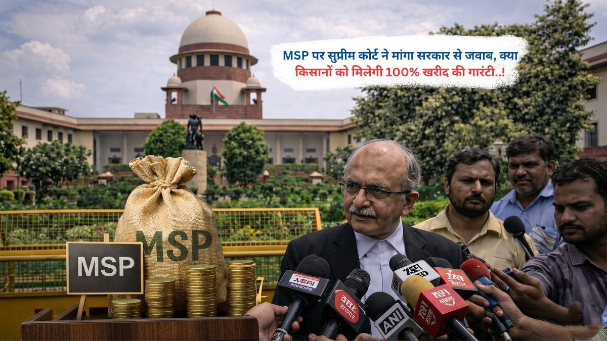 MSP पर सुप्रीम कोर्ट ने मांगा सरकार से जवाब, क्या किसानों को मिलेगी 100% खरीद की गारंटी