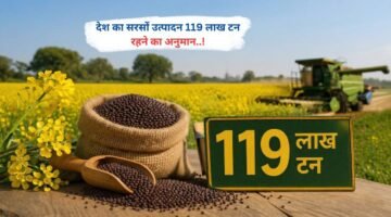 देश का सरसों उत्पादन 119 लाख टन रहने का अनुमान