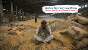 35 करोड़ का गेहूं बना 'ज़हर': 30 बार कीटनाशक छिड़काव, फिर भी सड़ गई किसान की मेहनत