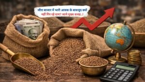जीरा बाजार में भारी आवक के बावजूद क्यों नहीं गिर रहे दाम? जाने मुख्य वजह