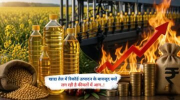 खाद्य तेल में रिकॉर्ड उत्पादन के बावजूद क्यों लग रही है कीमतों में आग
