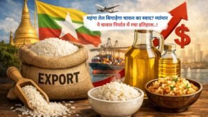 महंगा तेल बिगाड़ेगा चावल का स्वाद? म्यांमार ने चावल निर्यात में रचा इतिहास