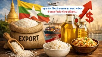 महंगा तेल बिगाड़ेगा चावल का स्वाद? म्यांमार ने चावल निर्यात में रचा इतिहास
