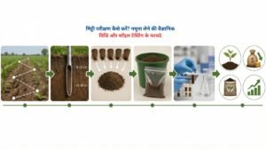 मिट्टी परीक्षण के लिए खेत से सही तरीके से नमूना लेते किसान, सॉइल टेस्टिंग की वैज्ञानिक विधि दर्शाता चित्र