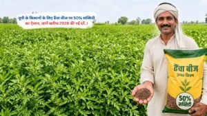 उत्तर प्रदेश में किसानों को ढैंचा बीज पर 50 प्रतिशत सब्सिडी का लाभ, खरीफ 2026 योजना की जानकारी