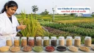 भारत द्वारा विकसित 3000 जलवायु सहिष्णु फसल किस्में कृषि नवाचार