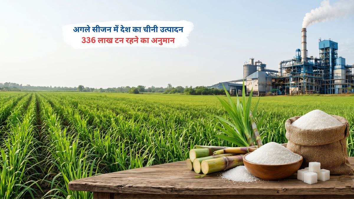 भारत में अगले सीजन चीनी उत्पादन 336 लाख टन पहुंचने का अनुमान दर्शाता ग्राफ और गन्ना उद्योग की स्थिति