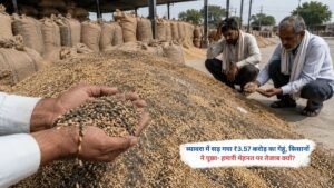 ब्यावरा में बारिश और बदइंतजामी के कारण सड़ा गेहूं