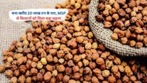 MSP पर 20 लाख टन से अधिक चना खरीद से किसानों को मिला लाभ