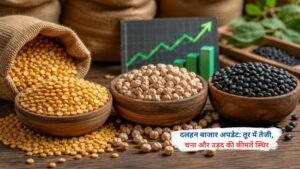 दलहन बाजार में तूर दाल की कीमतों में तेजी जबकि चना और उड़द के भाव स्थिर दिखाते व्यापारी और दाल की बोरियां