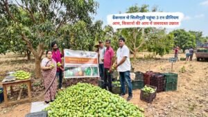ढेंकनाल से सिलीगुड़ी पहुंची 3 टन प्रीमियम आम की खेप, किसानों की आय में उछाल