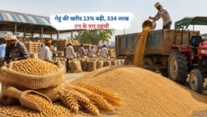 भारत में गेहूं की खरीद में 13% की बढ़ोतरी, कुल 334 लाख टन के पार पहुंची