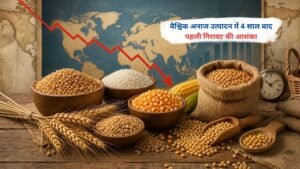 पिछले चार साल में पहली बार वैश्विक अनाज उत्पादन में गिरावट की आशंका