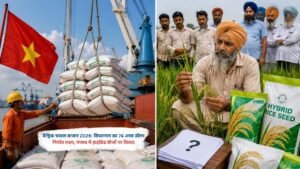 वैश्विक चावल बाजार 2026: वियतनाम का निर्यात लक्ष्य और पंजाब में हाइब्रिड बीज विवाद