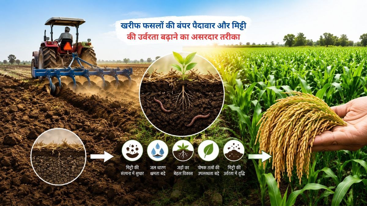 ग्रीष्मकालीन गहरी जुताई करते किसान का खेत, खरीफ फसलों की पैदावार और मिट्टी की उर्वरता बढ़ाने की तैयारी