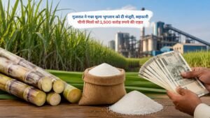 गुजरात सरकार द्वारा गन्ना मूल्य भुगतान मंजूरी के बाद सहकारी चीनी मिलों को 1500 करोड़ रुपये की राहत