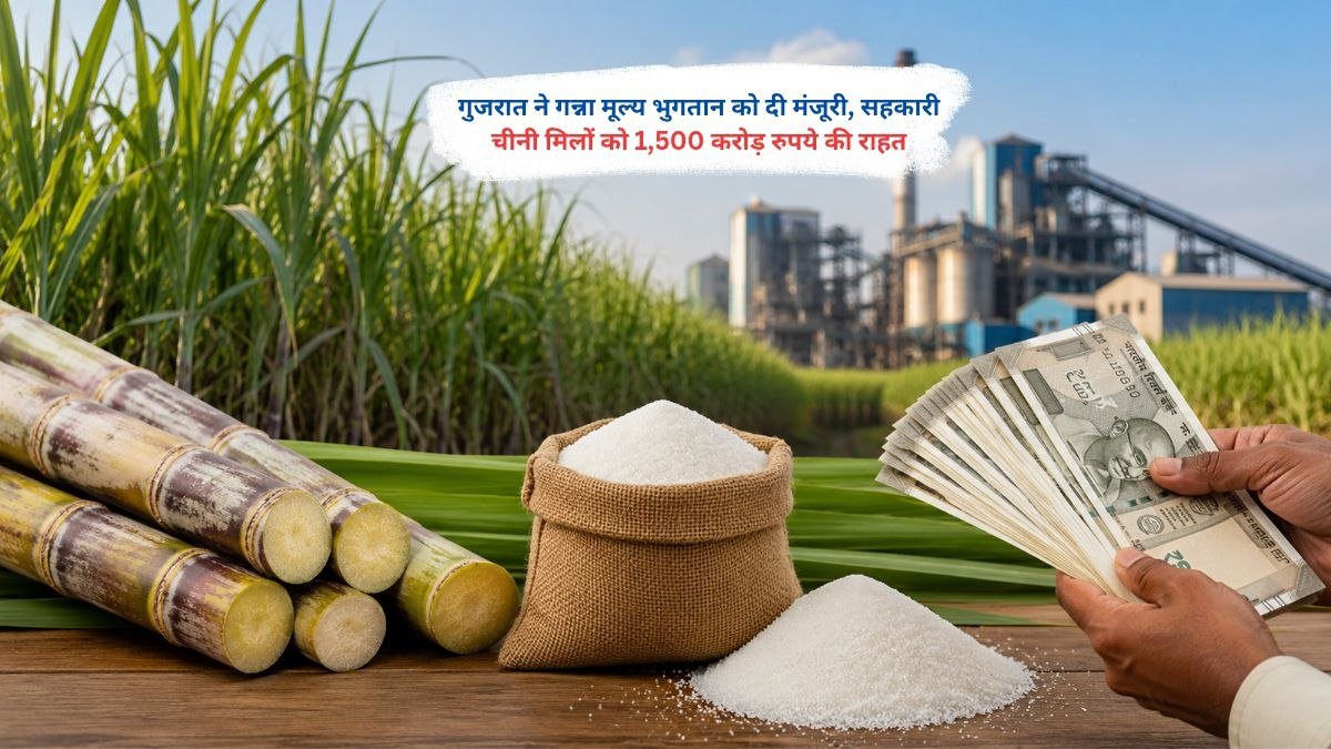 गुजरात सरकार द्वारा गन्ना मूल्य भुगतान मंजूरी के बाद सहकारी चीनी मिलों को 1500 करोड़ रुपये की राहत