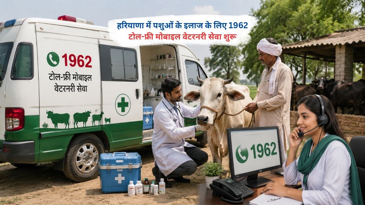 हरियाणा में 1962 टोल-फ्री मोबाइल वेटरनरी सेवा के जरिए पशुओं का इलाज