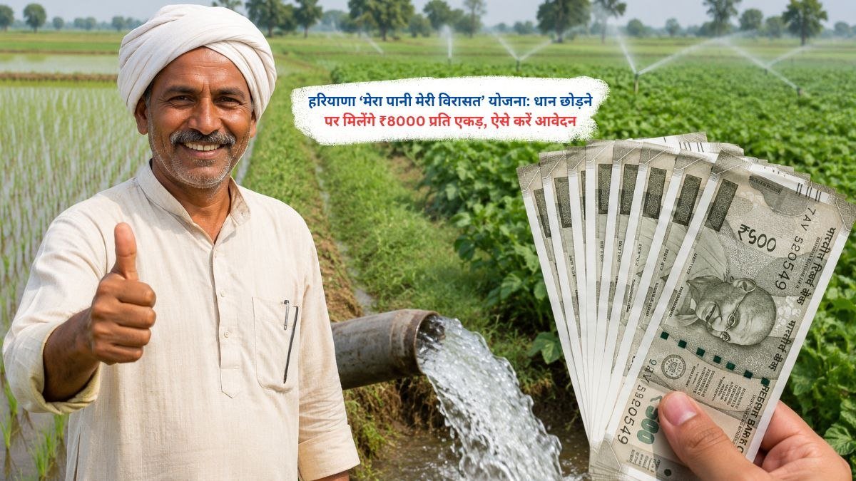 हरियाणा मेरा पानी मेरी विरासत योजना के तहत धान छोड़ने पर किसानों को ₹8000 प्रति एकड़ सहायता राशि मिलेगी।