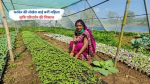कांकेर की लेखेश बाई कृषि क्षेत्र में बदलाव की मिसाल बनती हुई, महिला किसान के रूप में ग्रामीण खेती में नवाचार करती हुई।
