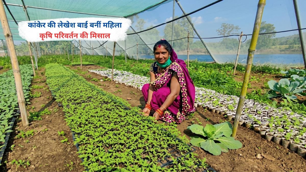 कांकेर की लेखेश बाई कृषि क्षेत्र में बदलाव की मिसाल बनती हुई, महिला किसान के रूप में ग्रामीण खेती में नवाचार करती हुई।