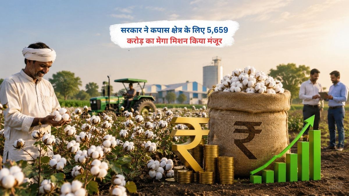 सरकार द्वारा कपास क्षेत्र के लिए 5,659 करोड़ रुपये के मेगा मिशन की मंजूरी दर्शाता कृषि संबंधी दृश्य।