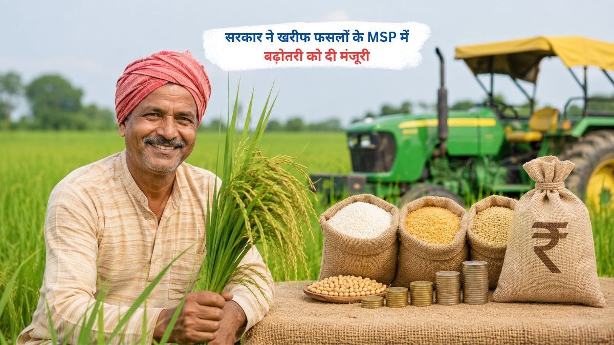 खरीफ फसलों के MSP में बढ़ोतरी को मंजूरी मिलने के बाद खेत में काम करते किसान