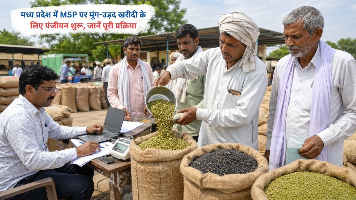 मध्य प्रदेश में MSP पर ग्रीष्मकालीन मूंग-उड़द खरीदी के लिए पंजीयन करते किसान