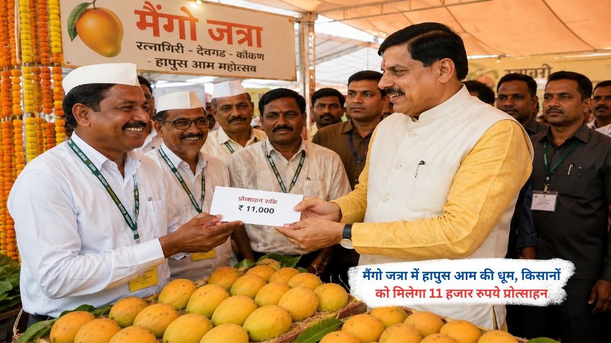 मैंगो जत्रा में प्रदर्शित हापुस आम और किसानों को 11 हजार रुपये प्रोत्साहन योजना की जानकारी
