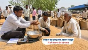 एमपी में गेहूं खरीद केंद्र पर किसान अपनी फसल बेचते हुए, धीमी खरीद प्रक्रिया के कारण परेशानी