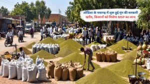 ओडिशा के नयागढ़ में किसानों से मूंग की सरकारी खरीद करते अधिकारी