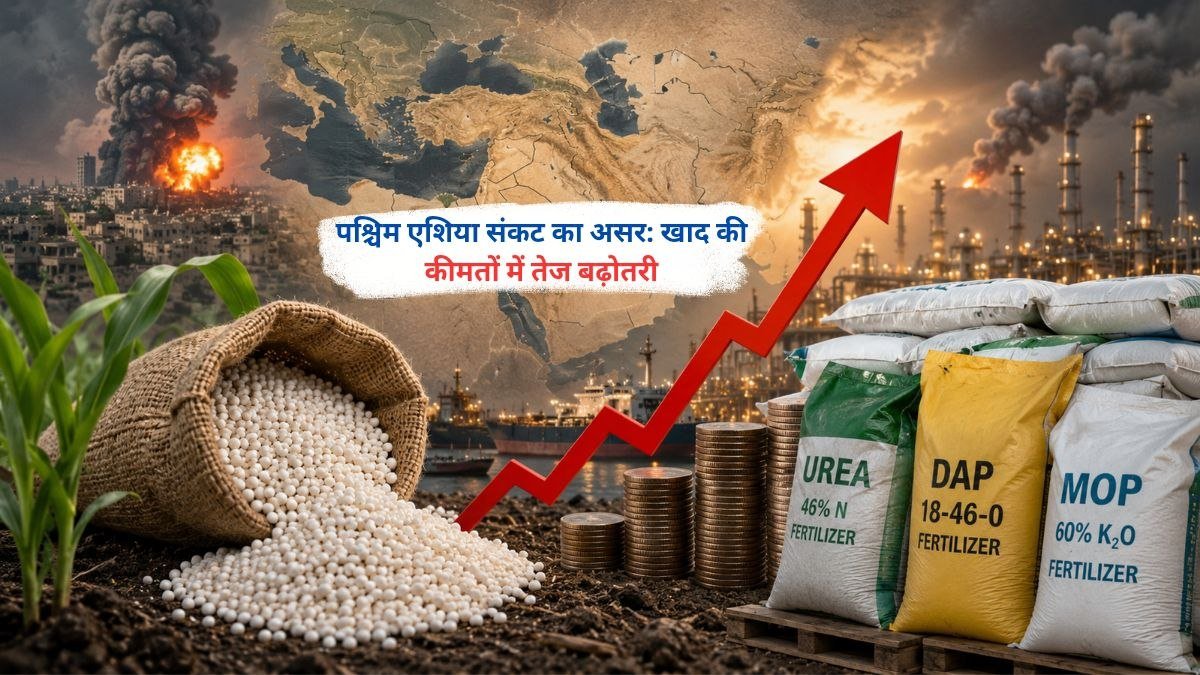 पश्चिम एशिया संकट के कारण खाद की कीमतों में बढ़ोतरी से प्रभावित किसान और उर्वरक बाजार का प्रतीकात्मक दृश्य।