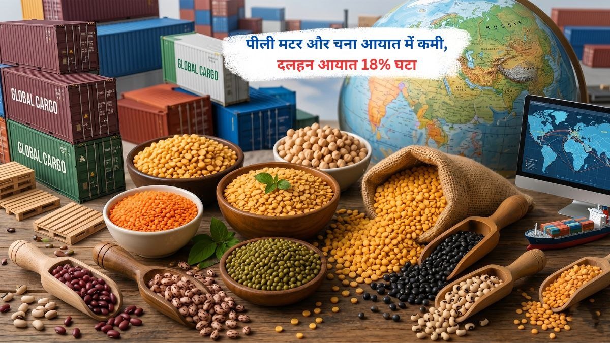 पीली मटर और चना आयात में कमी से दलहन आयात में 18 प्रतिशत गिरावट
