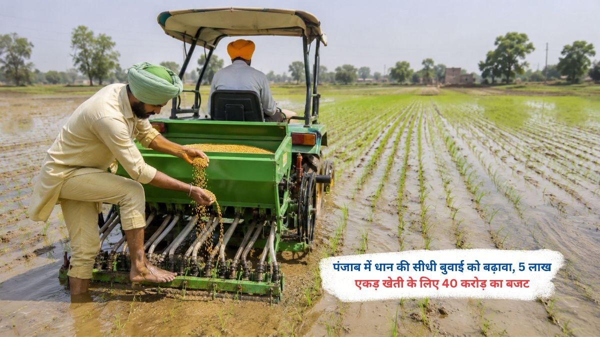 पंजाब में धान की सीधी बुवाई (DSR) को बढ़ावा देने के लिए 5 लाख एकड़ खेती का लक्ष्य
