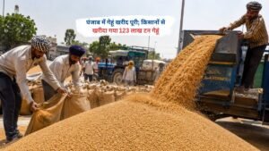 पंजाब की मंडी में किसानों से गेहूं खरीद करते अधिकारी और गेहूं की बोरियां