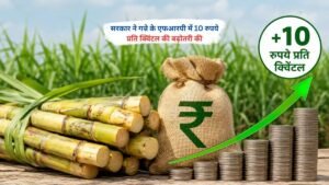 गन्ने के एफआरपी में 10 रुपये प्रति क्विंटल की बढ़ोतरी का प्रतीकात्मक दृश्य, गन्ने के खेत और मूल्य वृद्धि का संकेत।
