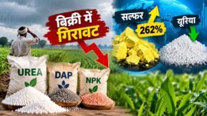 अगस्त में उर्वरक बिक्री में 10.33 प्रतिशत गिरावट, यूरिया DAP और सल्फर कीमतों का प्रभाव