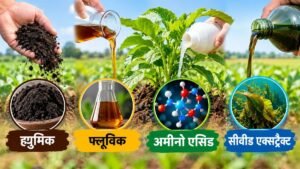 ह्यूमिक, फ्लूविक, अमीनो एसिड और सीवीड एक्सट्रैक्ट का फसल में उपयोग
