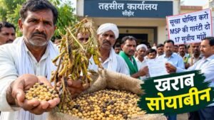 सीहोर में खराब सोयाबीन लेकर तहसील पहुंचे किसान