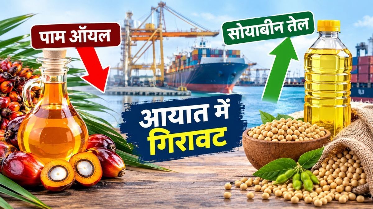 भारत में वनस्पति तेल आयात, पाम ऑयल और सोयाबीन तेल