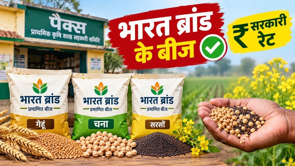 बिहार के पैक्स पर गेहूं, चना और सरसों के प्रमाणित बीज