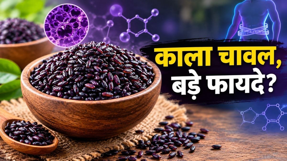 ब्लैक राइस के दाने, एंथोसायनिन और पोषण संबंधी फायदे