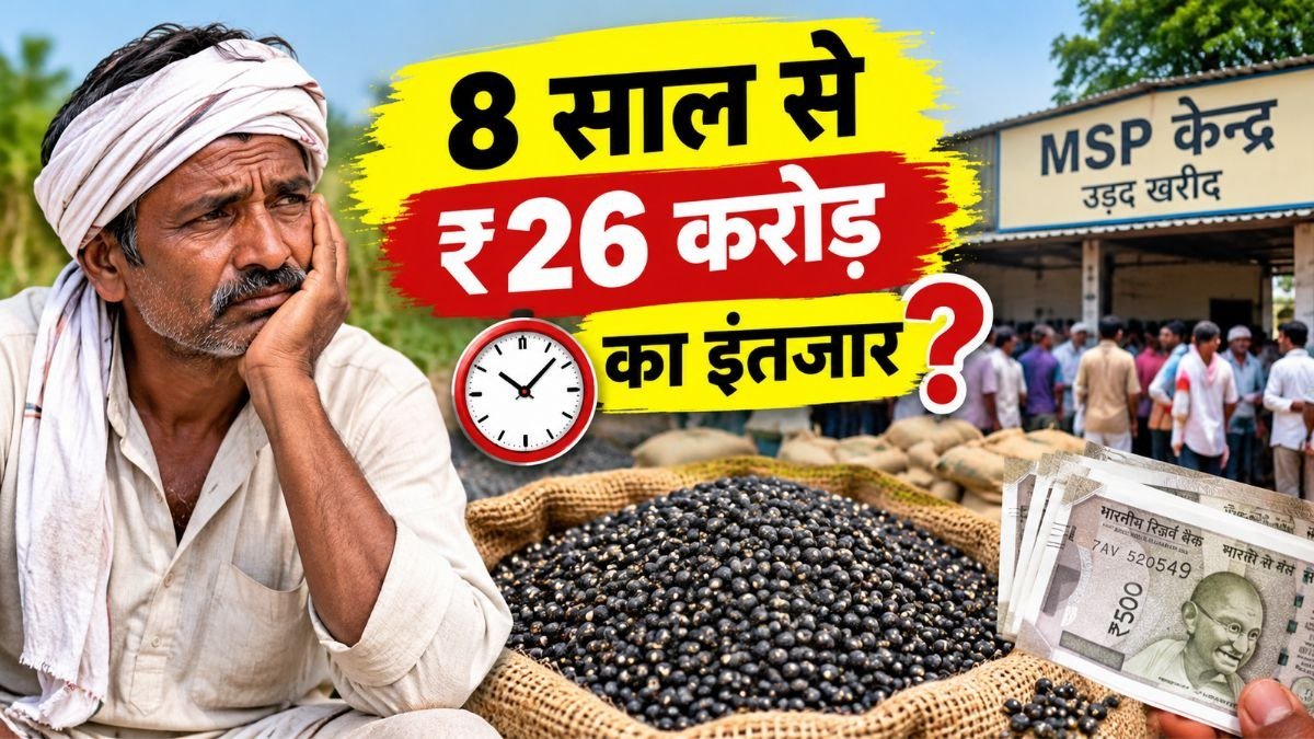 दमोह में उड़द MSP भुगतान का इंतजार कर रहे किसान