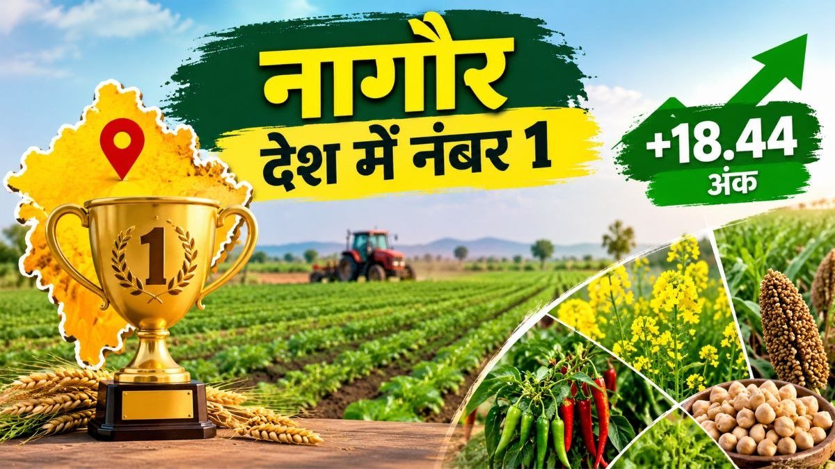 धन-धान्य कृषि योजना में नागौर देश में पहले स्थान पर, फसल विविधीकरण में 18.44 अंकों की बढ़त