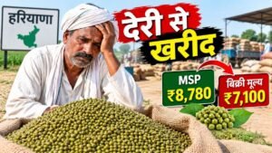 हरियाणा में MSP पर मूंग खरीद में देरी से परेशान किसान